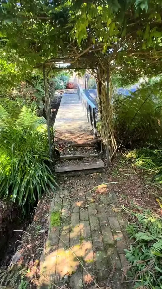Garden path with steps and a timber pergola